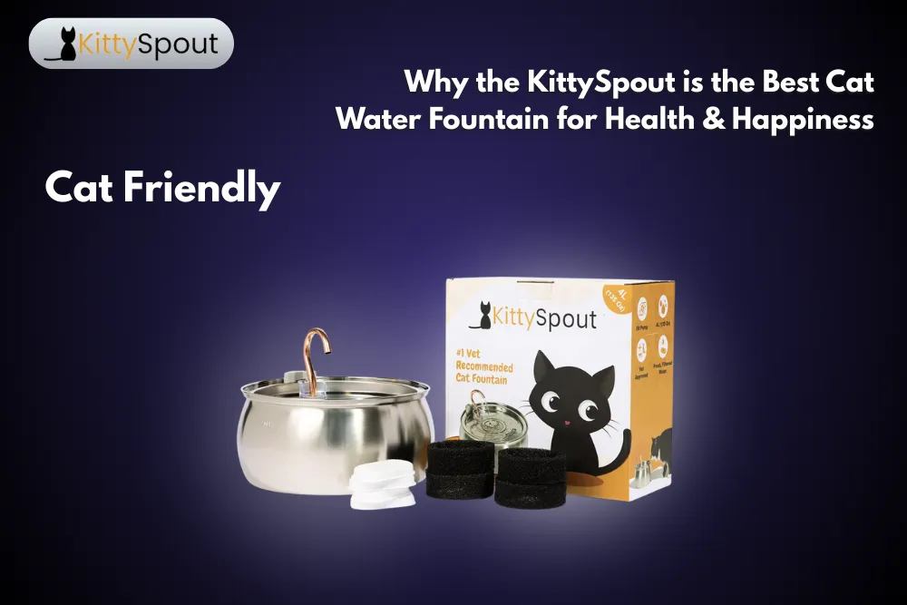 KittySpout